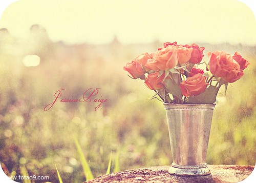 梦见长四只手的女人,解梦梦见长四只手的女人 梦见长四只手的女人,解梦梦见长四只手的女人