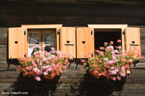 梦见游泳池有乌龟,解梦梦见游泳池有乌龟 梦见游泳池有乌龟,解梦梦见游泳池有乌龟