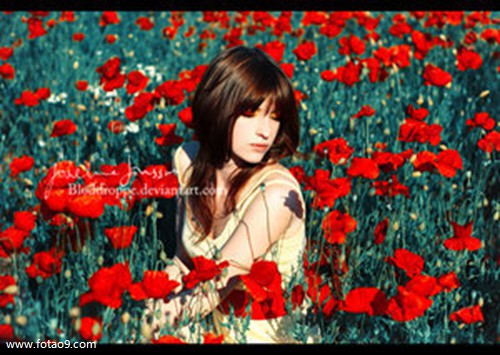 μͬͬѧ׷һ·,μͬͬѧ׷һ·