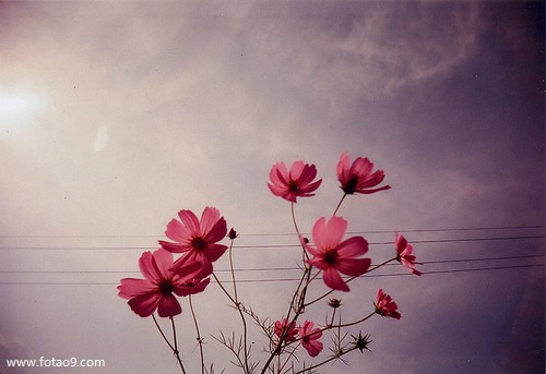 μԹүү,μԹүү
