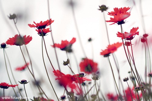 梦见睡觉时被爱人捅一刀,解梦梦见睡觉时被爱人捅一刀 梦见睡觉时被爱人捅一刀,解梦梦见睡觉时被爱人捅一刀