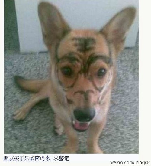 μ벻,μ벻