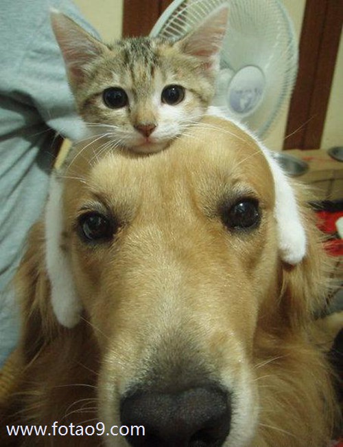 μںˮм,μںˮм