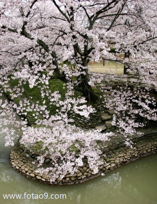 μԼɱ˾ץ,μԼɱ˾ץ