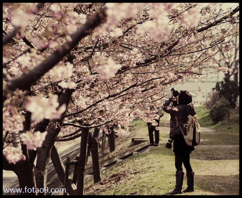 梦见自已有外遇并怀孕,解梦梦见自已有外遇并怀孕 梦见自已有外遇并怀孕,解梦梦见自已有外遇并怀孕