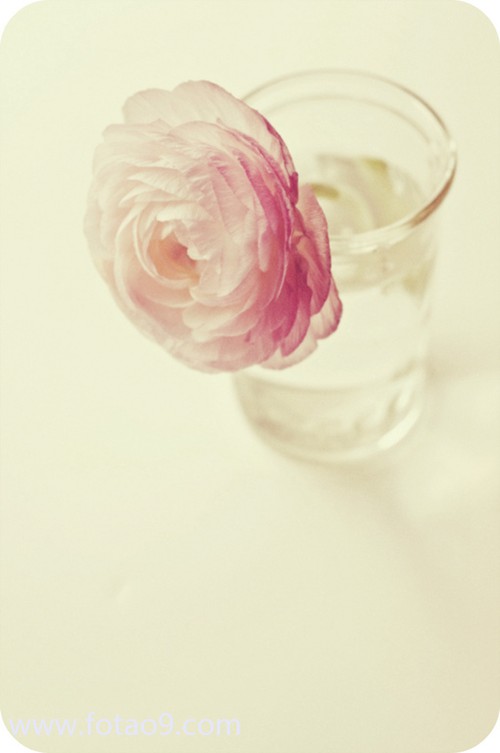 μͭǮ,μͭǮ