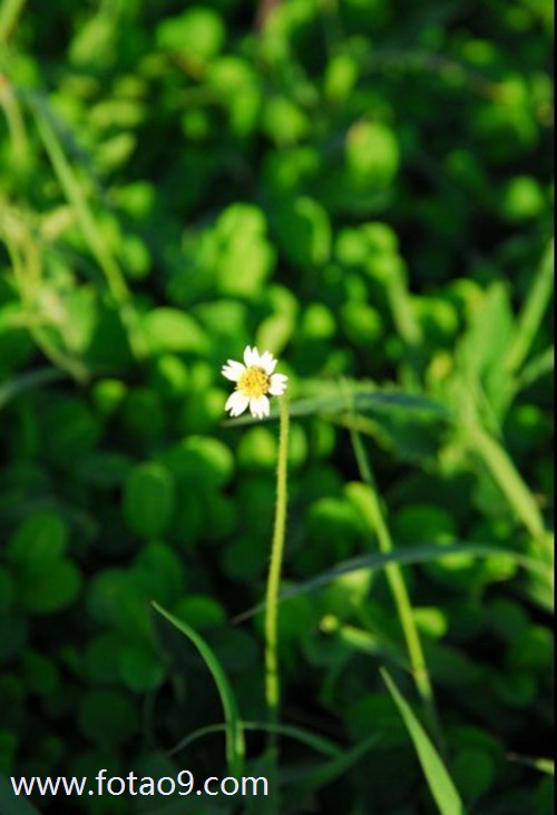 梦见老家的房子被别人占走住,解梦梦见老家的房子被别人占走住 梦见老家的房子被别人占走住,解梦梦见老家的房子被别人占走住