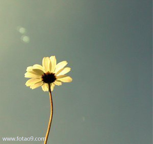 μѹҪҹˮ,μѹҪҹˮ