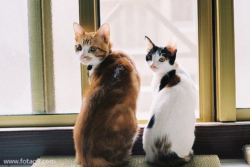 μͬѧڴѧͼ,μͬѧڴѧͼ