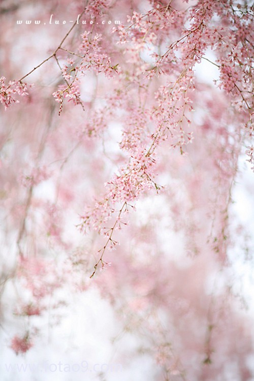 梦见天火把房子烧了,解梦梦见天火把房子烧了 梦见天火把房子烧了,解梦梦见天火把房子烧了