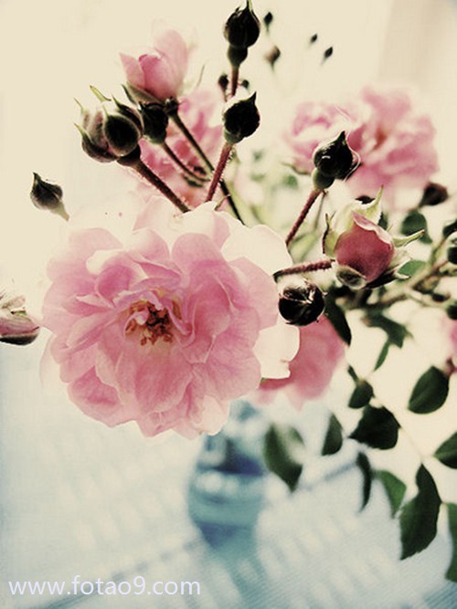μɱҶɱ,μɱҶɱ