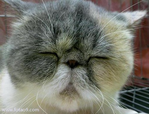 梦见已故爷爷骑车三轮车,解梦梦见已故爷爷骑车三轮车 梦见已故爷爷骑车三轮车,解梦梦见已故爷爷骑车三轮车