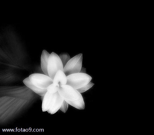 梦见我堂哥找小三,解梦梦见我堂哥找小三 梦见我堂哥找小三,解梦梦见我堂哥找小三