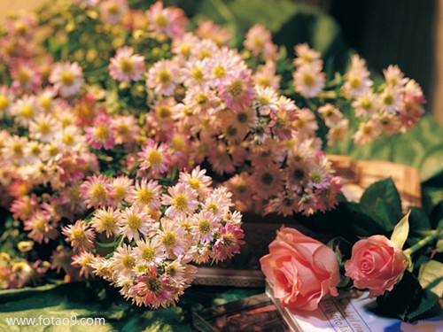 梦见母亲开车被货车撞到,解梦梦见母亲开车被货车撞到 梦见母亲开车被货车撞到,解梦梦见母亲开车被货车撞到