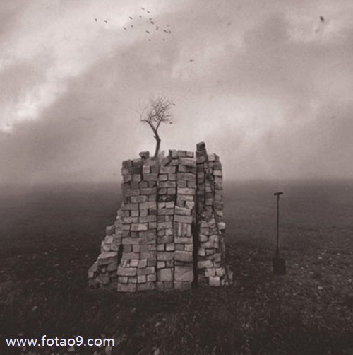 μѶ񵽺ܶǮ,μѶ񵽺ܶǮ
