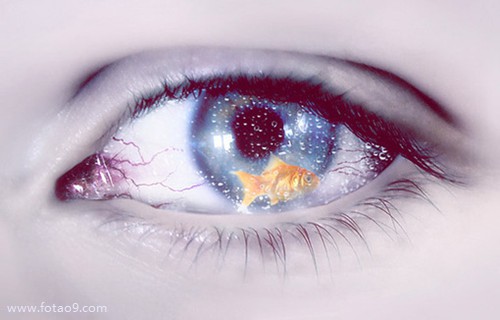 μʨӸ˸,μʨӸ˸