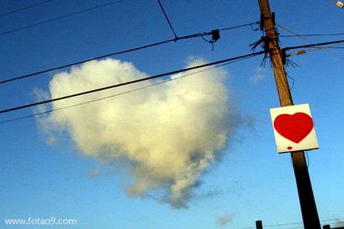 梦见大车拉很多石头,解梦梦见大车拉很多石头 梦见大车拉很多石头,解梦梦见大车拉很多石头