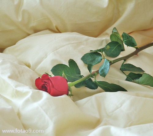 μүү⻹ɱ,μүү⻹ɱ