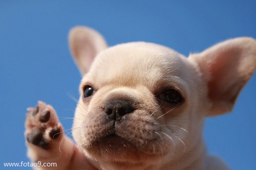 μүүҪȥ,μүүҪȥ