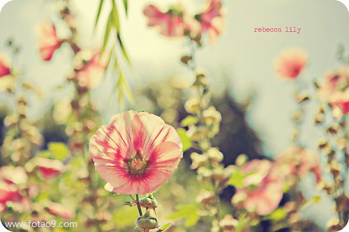 梦见空中滴墨云和墨掉下去了,解梦梦见空中滴墨云和墨掉下去了 梦见空中滴墨云和墨掉下去了,解梦梦见空中滴墨云和墨掉下去了