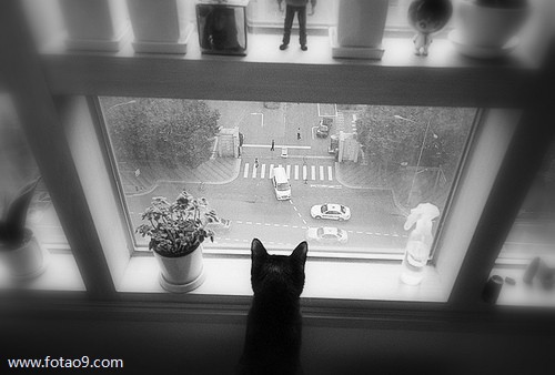 梦见佛家的小孩,解梦梦见佛家的小孩 梦见佛家的小孩,解梦梦见佛家的小孩