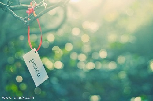 梦见摔烂锅,解梦梦见摔烂锅 梦见摔烂锅,解梦梦见摔烂锅