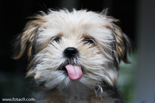 梦见兄弟媳妇掉进水里,解梦梦见兄弟媳妇掉进水里 梦见兄弟媳妇掉进水里,解梦梦见兄弟媳妇掉进水里