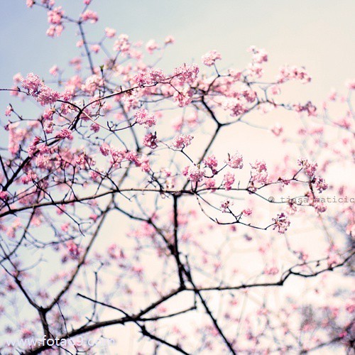 梦见秦广,解梦梦见秦广 梦见秦广,解梦梦见秦广