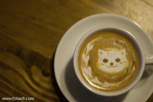 梦见上房顶躲避狗追,解梦梦见上房顶躲避狗追 梦见上房顶躲避狗追,解梦梦见上房顶躲避狗追