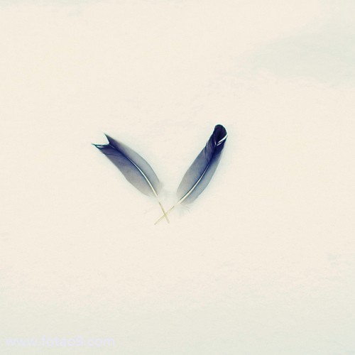 μһҧ,μһҧ