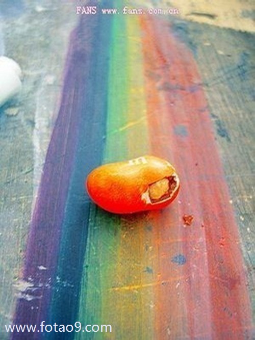 μ˾쵼ڿѼ,μ˾쵼ڿѼ