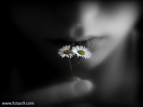 μҽˮ,μҽˮ