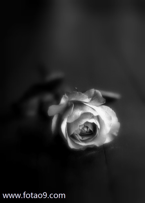 μһܵĺܿ,μһܵĺܿ