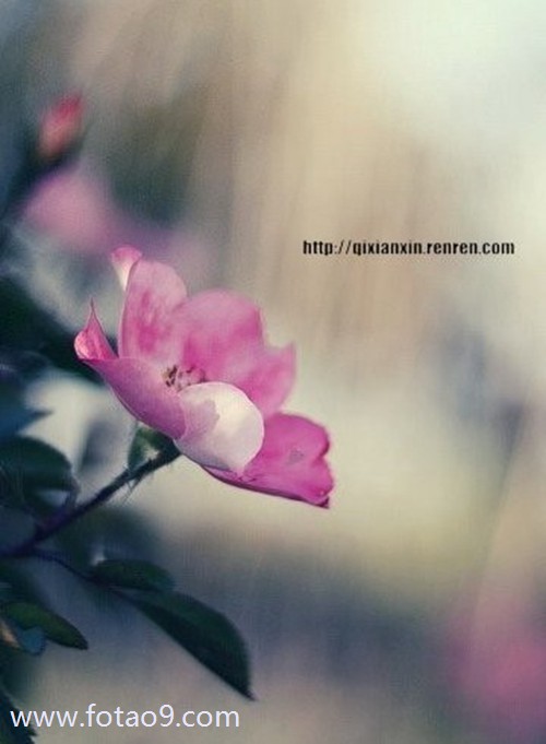 μҧ,μҧ