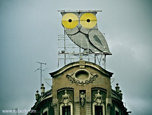 μȥүү,μȥүү