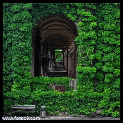 μɽŴֱϨ,μɽŴֱϨ