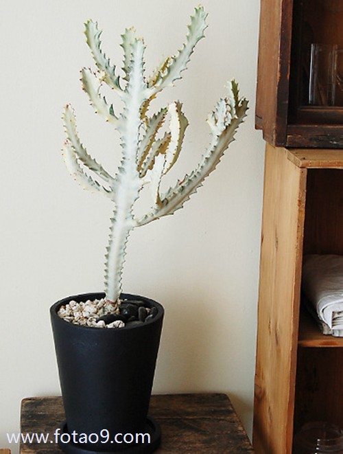 梦见我和女友遇见坏人,解梦梦见我和女友遇见坏人 梦见我和女友遇见坏人,解梦梦见我和女友遇见坏人