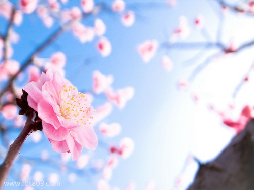 μھӼ¥¥ԺӺö,μھӼ¥¥ԺӺö