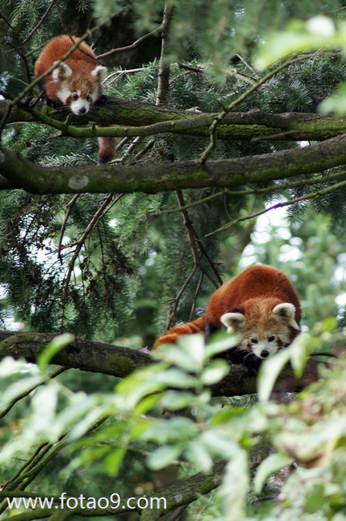 μϹؼҴ·,μϹؼҴ·