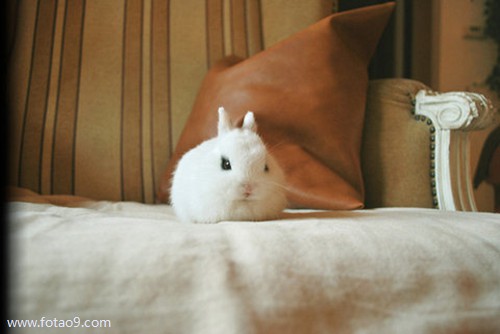 梦见鞋尖开口,解梦梦见鞋尖开口 梦见鞋尖开口,解梦梦见鞋尖开口