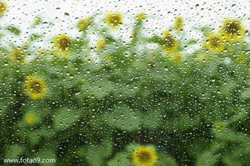 梦见左手从手腕处断掉,解梦梦见左手从手腕处断掉 梦见左手从手腕处断掉,解梦梦见左手从手腕处断掉