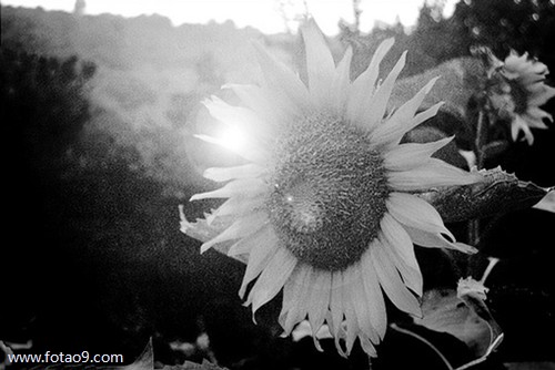 μʼĸ׻ûش,μʼĸ׻ûش