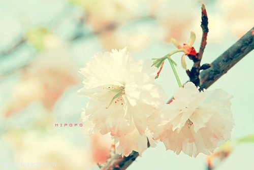 μԼ˯ƶʪ,μԼ˯ƶʪ