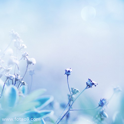 μĶҧ,μĶҧ