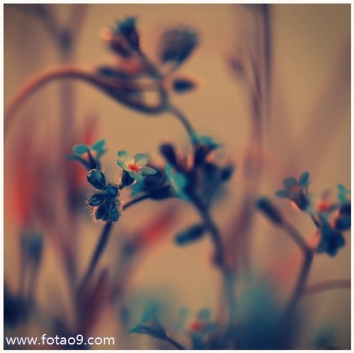 μξԷ,μξԷ