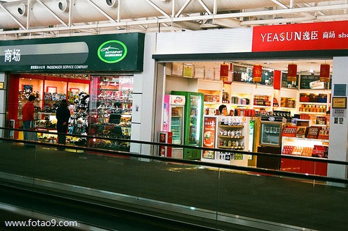 梦见家里有猫跟兔子,解梦梦见家里有猫跟兔子 梦见家里有猫跟兔子,解梦梦见家里有猫跟兔子