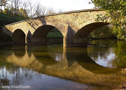 梦见捉兔子没捉住,解梦梦见捉兔子没捉住 梦见捉兔子没捉住,解梦梦见捉兔子没捉住
