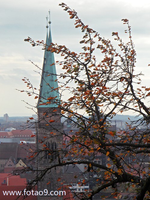 梦见和男人采蘑菇,解梦梦见和男人采蘑菇 梦见和男人采蘑菇,解梦梦见和男人采蘑菇