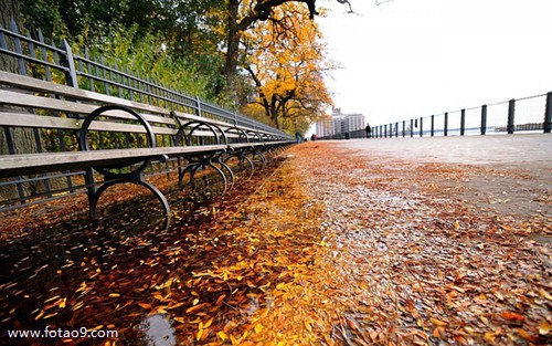 梦见买打折蛋糕,解梦梦见买打折蛋糕 梦见买打折蛋糕,解梦梦见买打折蛋糕