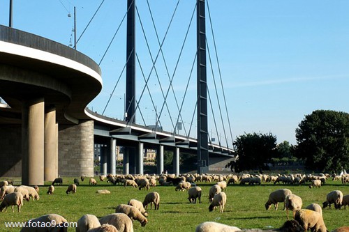 μǮ͵Ǯ,μǮ͵Ǯ
